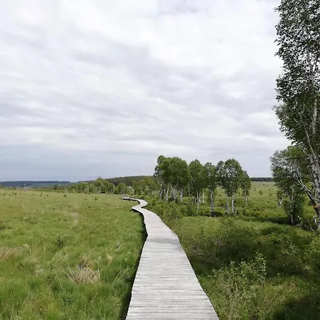 Picture Perfect Holiday Home In Sourbrodt With Garden Bbq * Sourbrodt